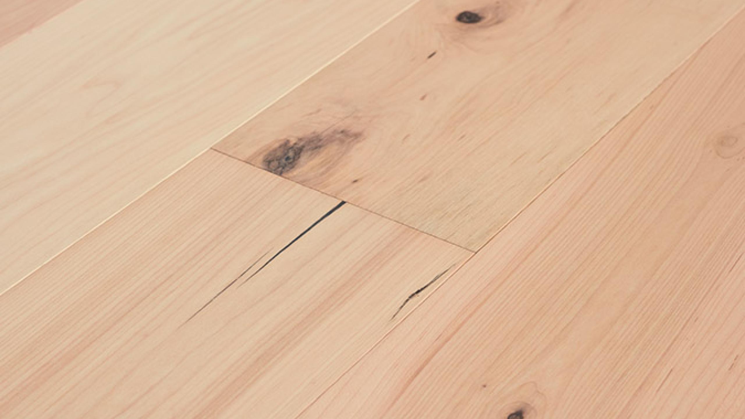Maple Equinox