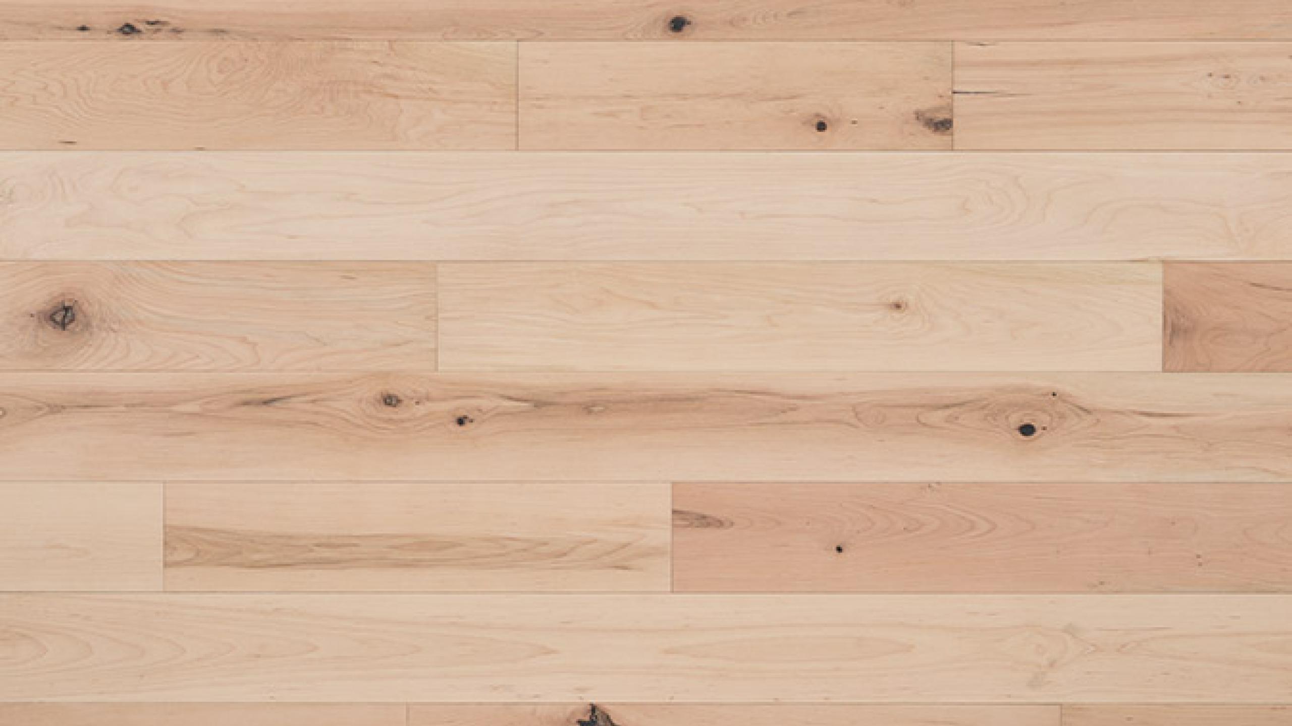 Maple Equinox
