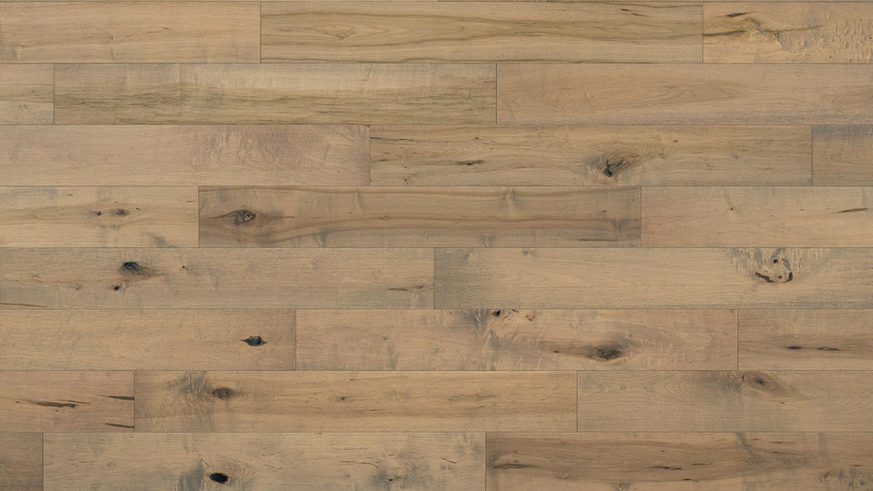 Brushed Maple Tail Feather Kentwood Flooring