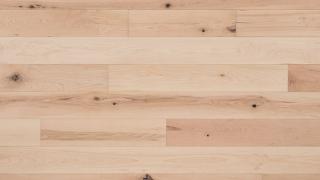 Maple Equinox